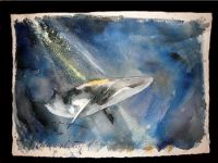 Minke Whale watercolour